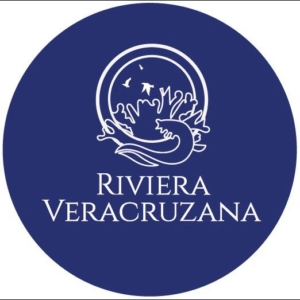 Imagen-de-WhatsApp-2024-11-04-a-las-13.20.36_a52a828e