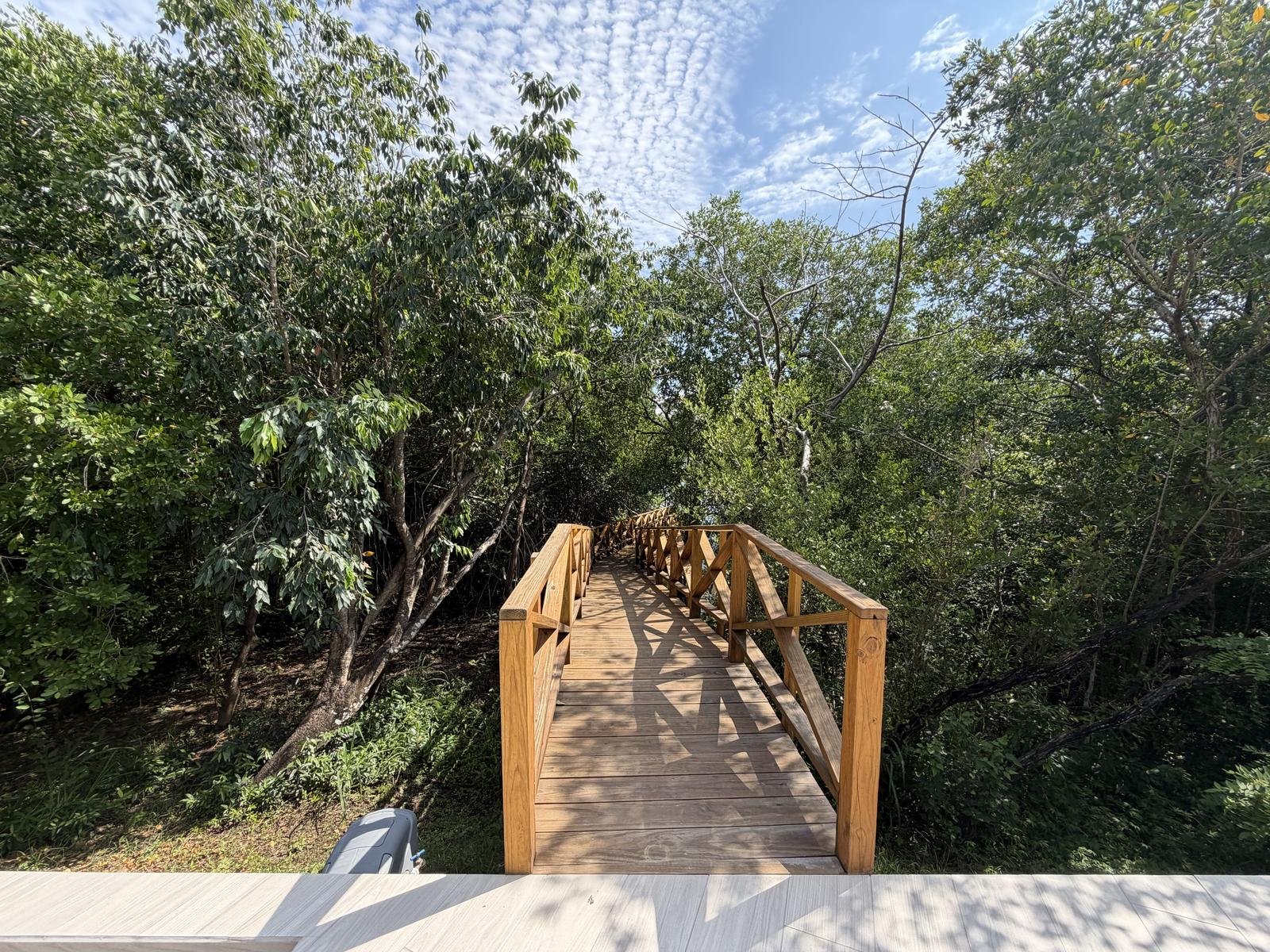 Casa Nueva en Venta El Dorado Residencial